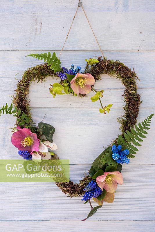 Mossed Heart-shaped wreath decorated with Helleborus, Muscari, ferns and Cyclamen leaves. 