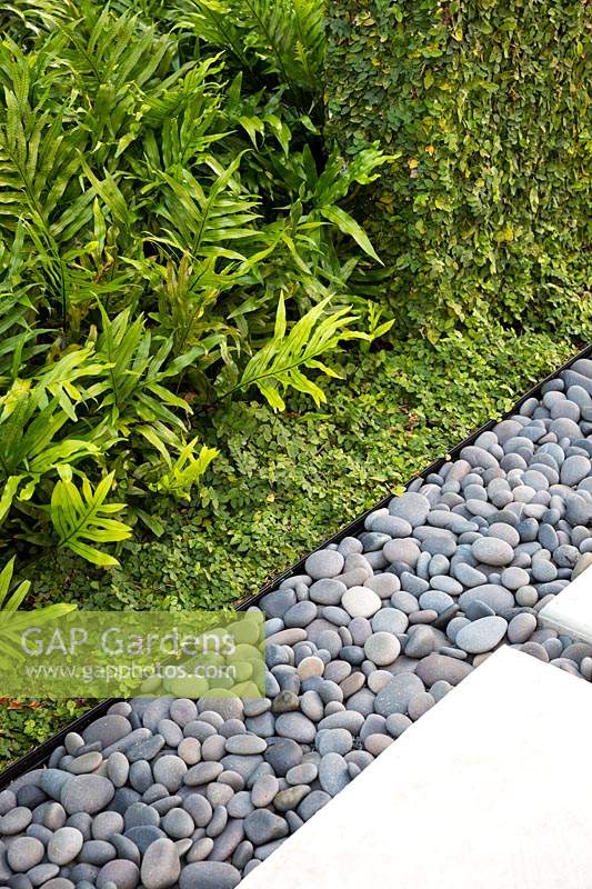View of greenery edged with pebbles with paved path. The Hammond Residence, Key West, Florida, USA.