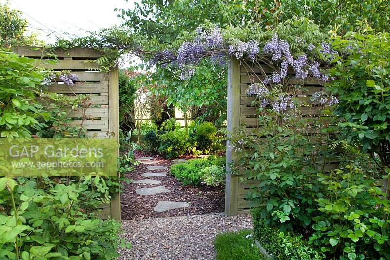 Wisteria creating an arch between the rose garden and the shade garden, in the garden of garden designer Karen Tatlow. 
