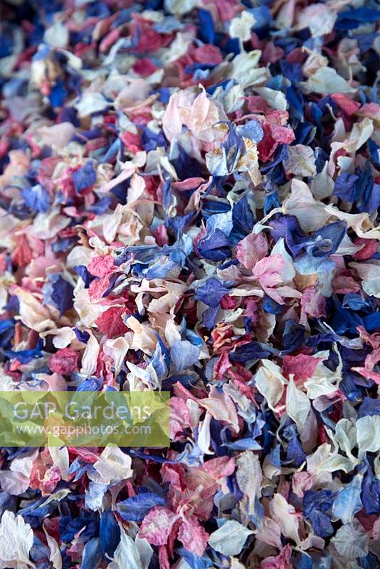 Natural flower-petal confetti made of pink, blue and white larkspur petals. 