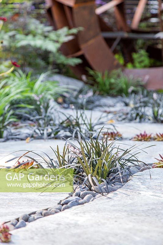 Stepping stone path with Ophiopogon nigrescens and decorative pebbles in the gaps, detail from 
'Elements Mystique Garden', sponsored by Elements Garden Design
