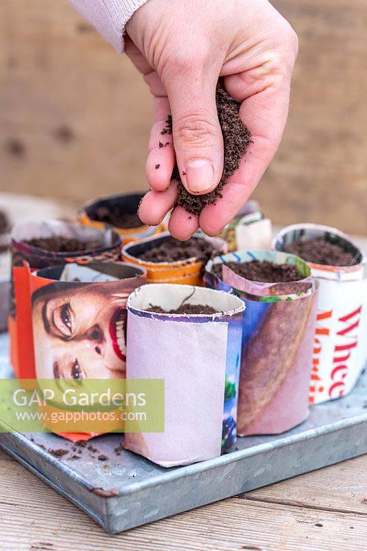 Woman adding a little compost to each pot to cover the seed