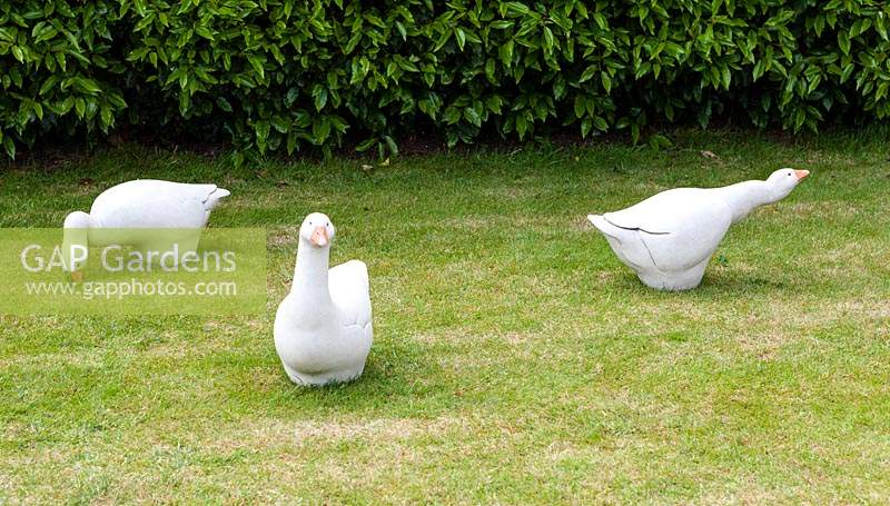 Geese - stoneware sculptures - set on lawn
