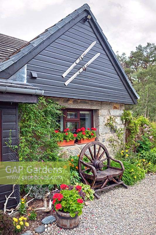 House front with old skis attached. Planting around house includes 
window boxes and oak half barrel with red Pelargoniums, plus bed under window and rustic wooden carriage wheel
 seat

