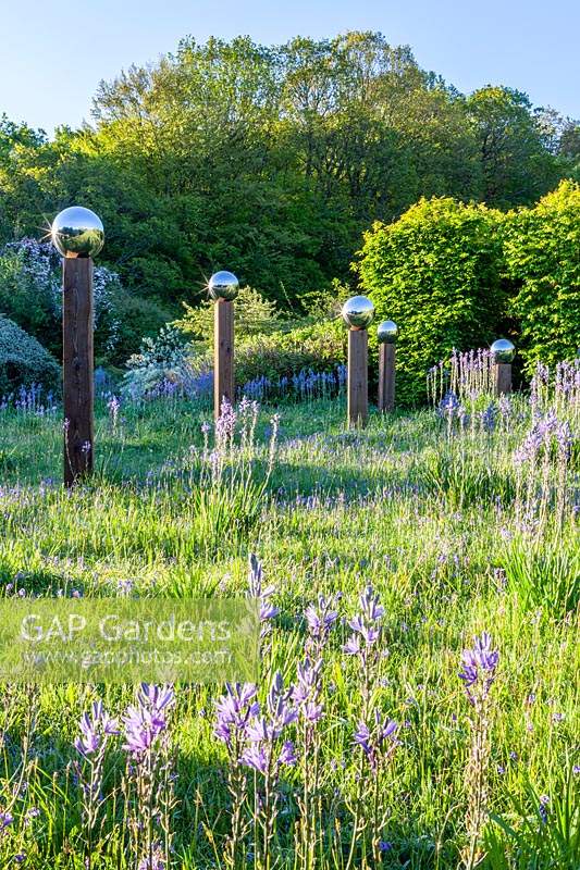 Shadows on meadow of Camassia subsp. leichtlinii cast by avenue of stainless 
steel mirror globes mounted on wooden posts
