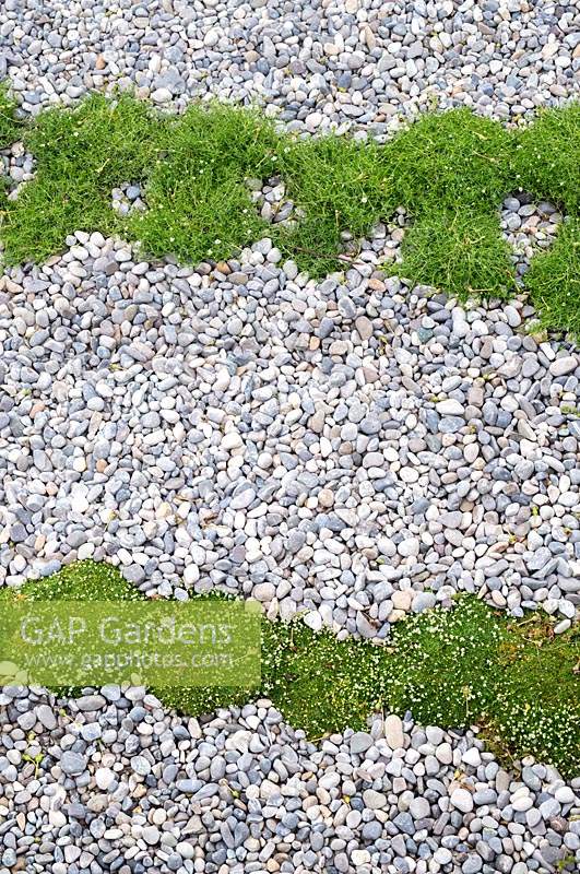 'Space Within Mindfulness' garden, overhead view of gravel planted with rows
 of Scleranthus biflorus - Knawel - and Sagina subulata - Heath Pearlwort
 