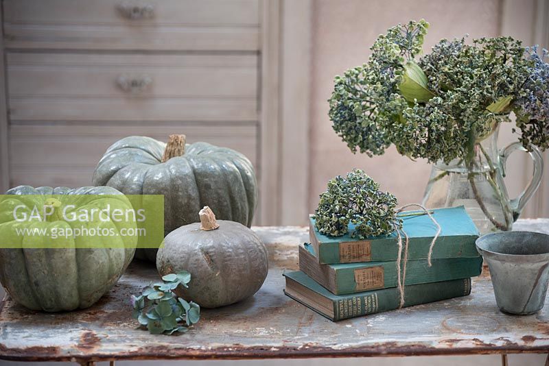 Vintage table with Pumpkin 'Queensland Blue', books and Hydrangea 'Ayesha' flower stems