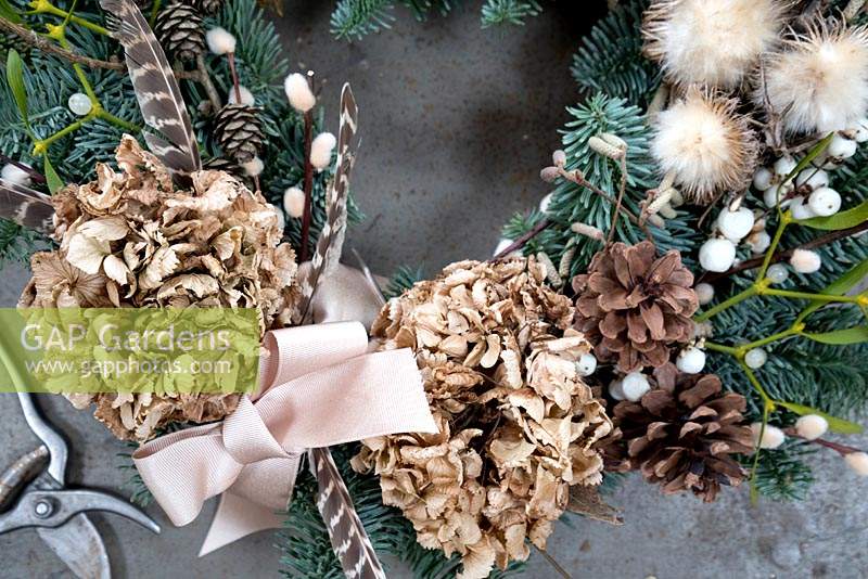 Close up of wreath showing dried Hydrangea flowers ,pine cones, mistletoe, 
snowberries, pheasant feathers and seed heads