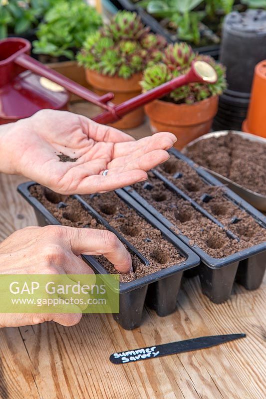 Woman using index finger to make holes in compost ready for sowing seeds