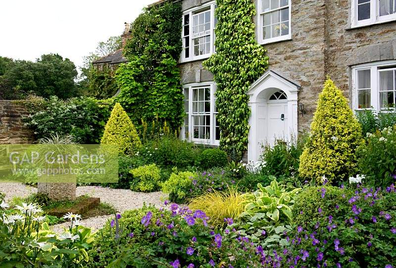 Full shrub and perennial borders at Bosvigo House, Cornwall, UK.