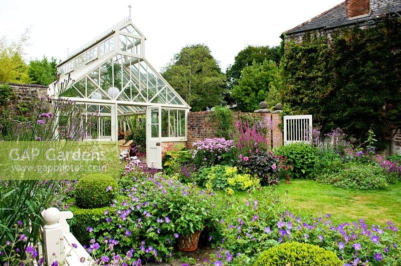 Traditional wood and brick glasshouse surrounded by flowering perennial borders in walled garden. Bosvigo House, Cornwall, UK.