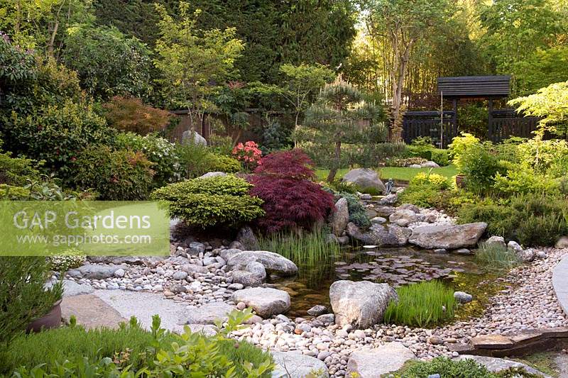 Japanese themed garden with pond, and rock arrangement. 