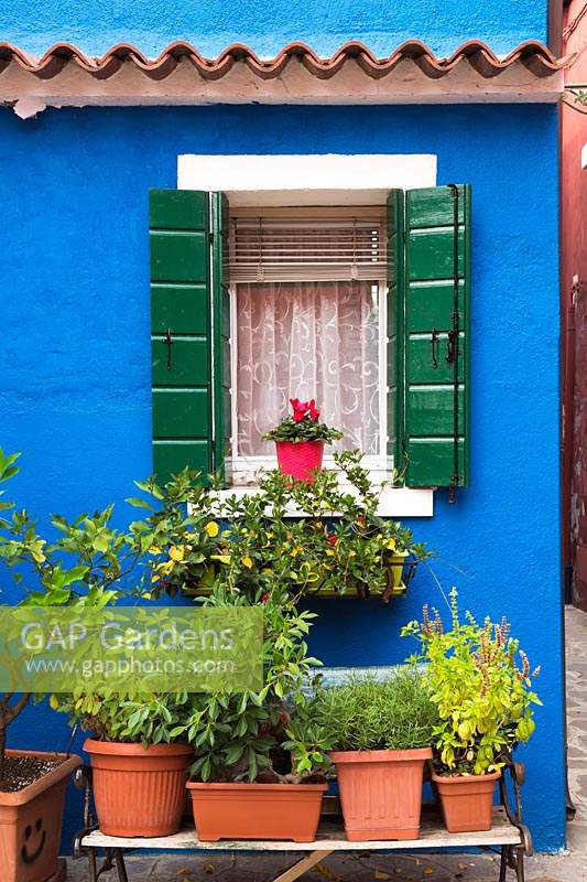 Potted green plants on a bench in front of blue stucco house facade decorated with red flowerpot on window ledge - Burano Island, Venice, Italy