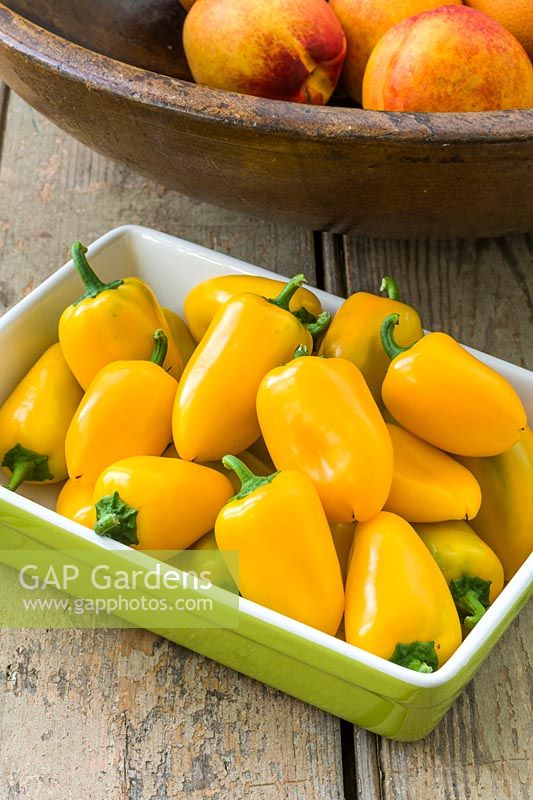 Capsicum - Sweet Pepper Yellow Conical Type - Mini Sweet