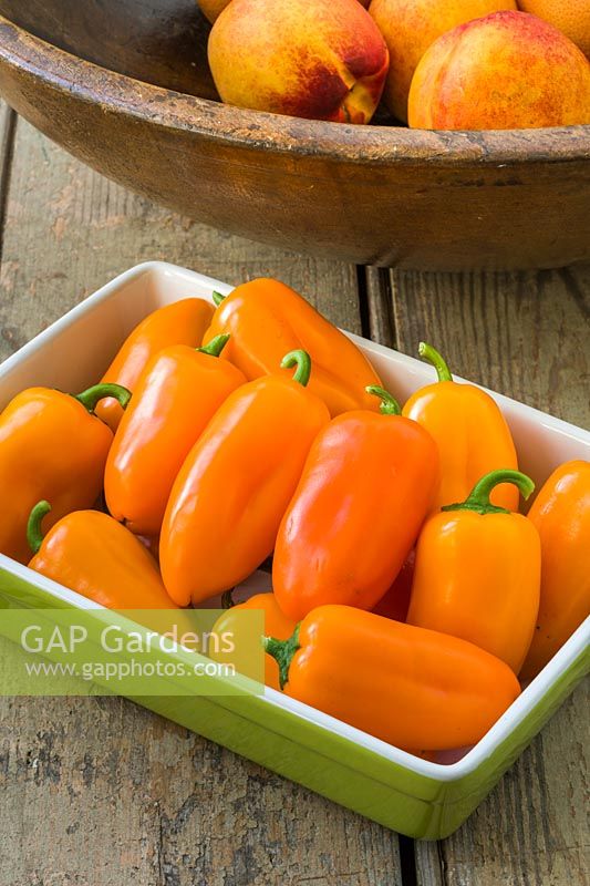 Capsicum - Sweet Pepper Orange Conical Type - Mini Sweet