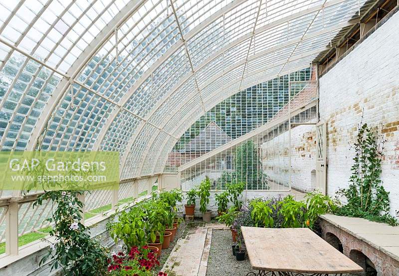 Restored iron-framed curvilinear glasshouses. Wildegoose Nursery, The Walled Garden, Lower Millichope, Munslow, Shropshire, UK.

