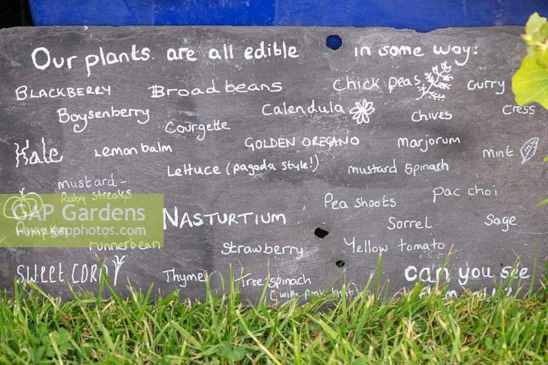 Children's edible plant sign on a display RHS Chatsworth flower show, 2019.