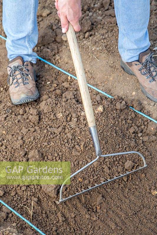 Man using rake to loosen and gather up the soil. 