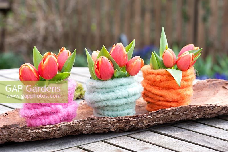 Trio of colourful felt-covered vases holding orange Tulips, displayed in wooden branch. 
