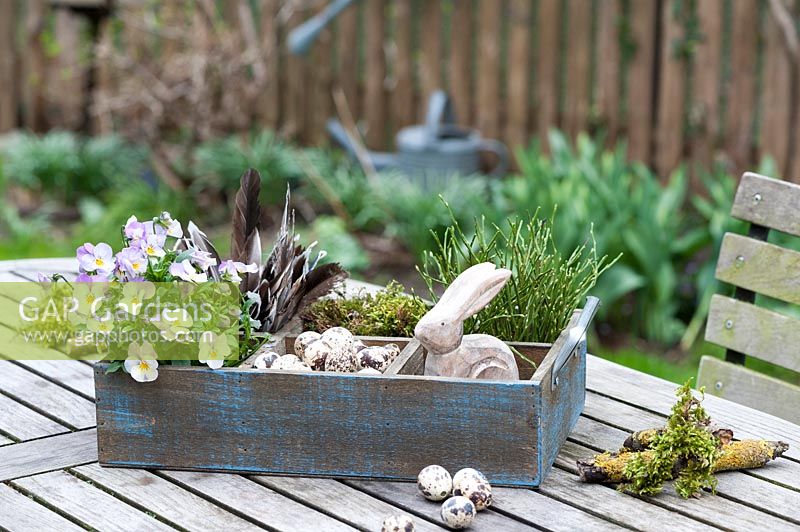 Easter decoration on a table in a spring garden. The wooden box is filled with Viola, quail eggs, a wooden Easter bunny, bilberry branches, moss and feathers.