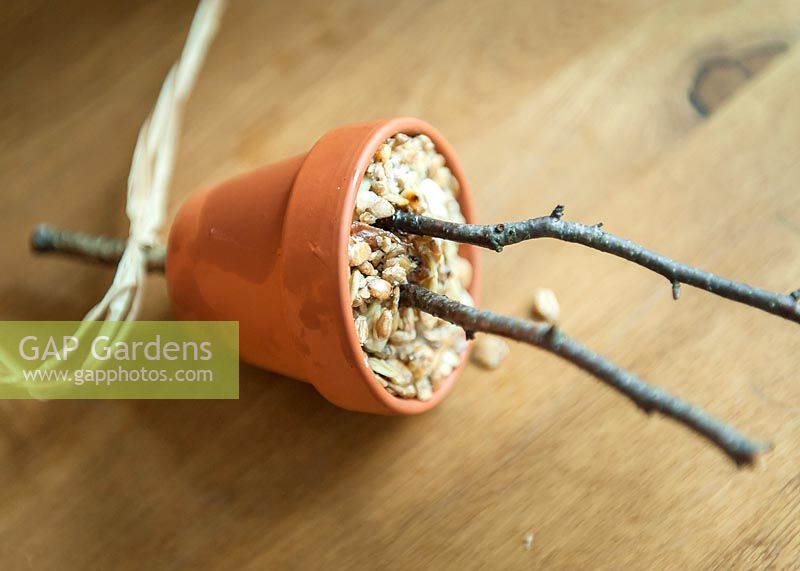 Home-made birdseed feeder in terracotta pot. 