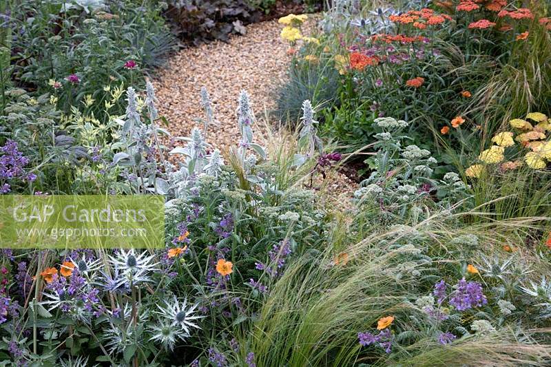 Perennial planting in 'The Children with Cancer UK Strength of Humanity Garden' at BBC Gardeners World Live 2019