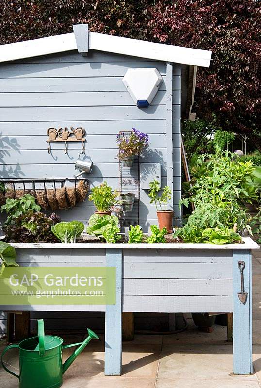 Pale blue painted summerhouse and raised planter with vegetables