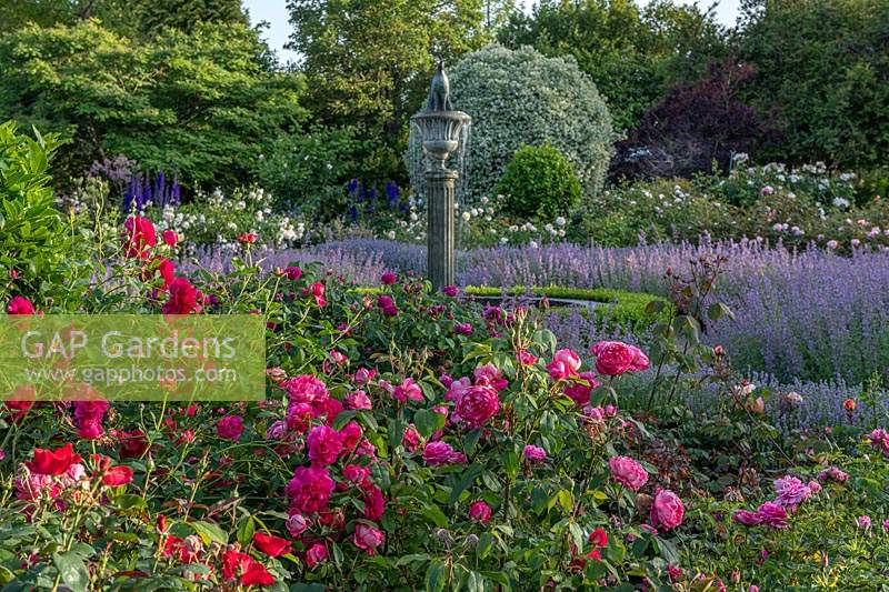 Formal rose garden at Borde Hill, Wset Sussex, UK