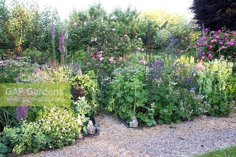 Mixed planting in Summer border  