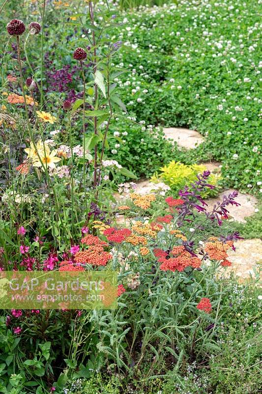 Overgrown flower border in front of a clover rich lawn in the BBC Springwatch garden at RHS Hampton Court Flower Show 2019 - Designed by Jo Thompson in consultation with wildlife gardener Kate Bradbury