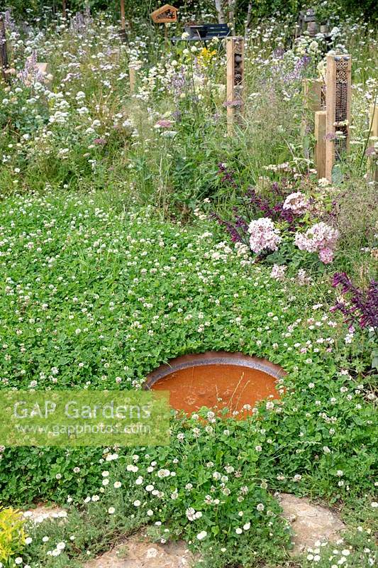 Water bath, clover rich lawn and flower borders in the BBC Springwatch garden at RHS Hampton Court Flower Show 2019 - Designed by Jo Thompson in consultation with wildlife gardener Kate Bradbury