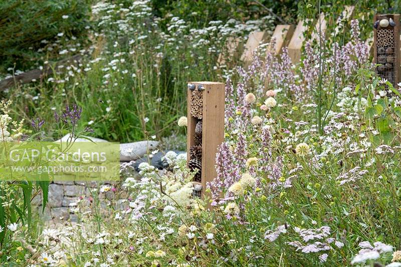Bug box and overgrown flower borders in the BBC Springwatch garden at RHS Hampton Court flower show 2019 - Designed by Jo Thompson in consultation with wildlife gardener Kate Bradbury