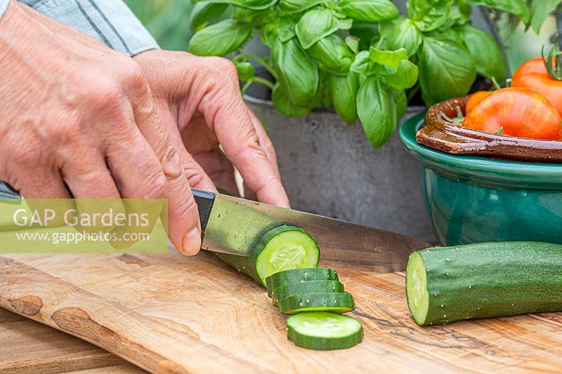 Woman slicing harvested Cucumber 'Burpless Tasty Green' on chopping board