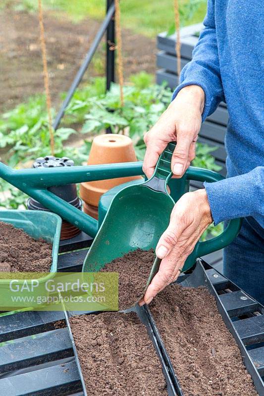 Covering seeds with a thin layer of compost