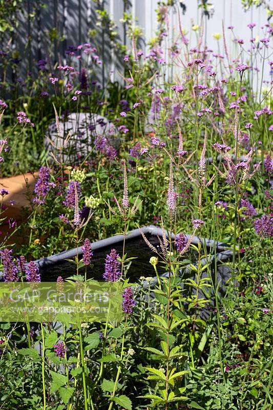 Water trough with Verbena bonariensis, Veronicastrum virginicum 'Fascination' and Agastache 'Blackadder'. Southend Young Offenders 'A Place to Think' garden, designed by James Callicott and Tony Wagstaf, sponsored by Southend Council, Sovereign Play Equipment, Stephanie Cushing - Sculpture. RHS Hampton Court Palace Show, 2018.
