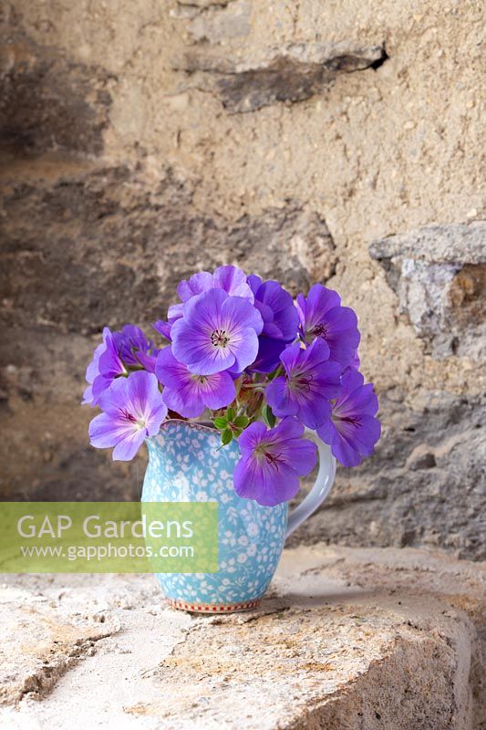 Floral jug with display of Geranium