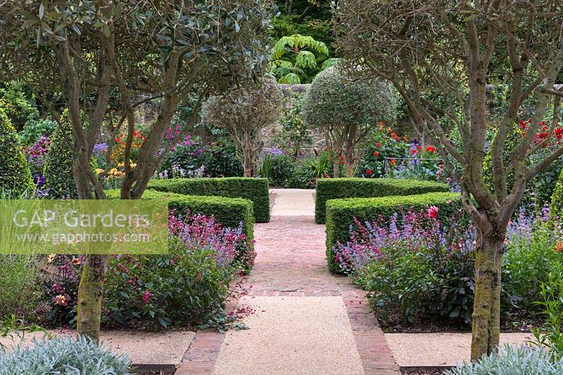 Pathway leading through clipped olive trees to central, clipped Buxus circle in walled garden.