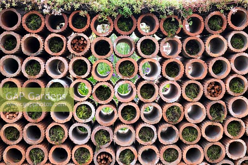  
Clay drainage pipe wall, with Sedum album and moss in the Very Hungry Caterpillar Garden, RHS Tatton Park Flower Show, 2019.