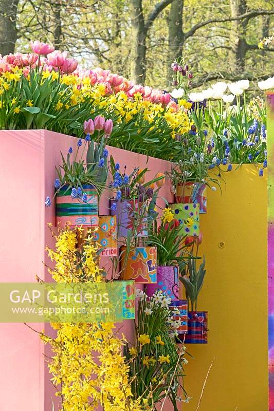 Colourful painted cans displayed on walls, filled with flowering Tulips, Muscari, Narcissus, and Fritillaria.