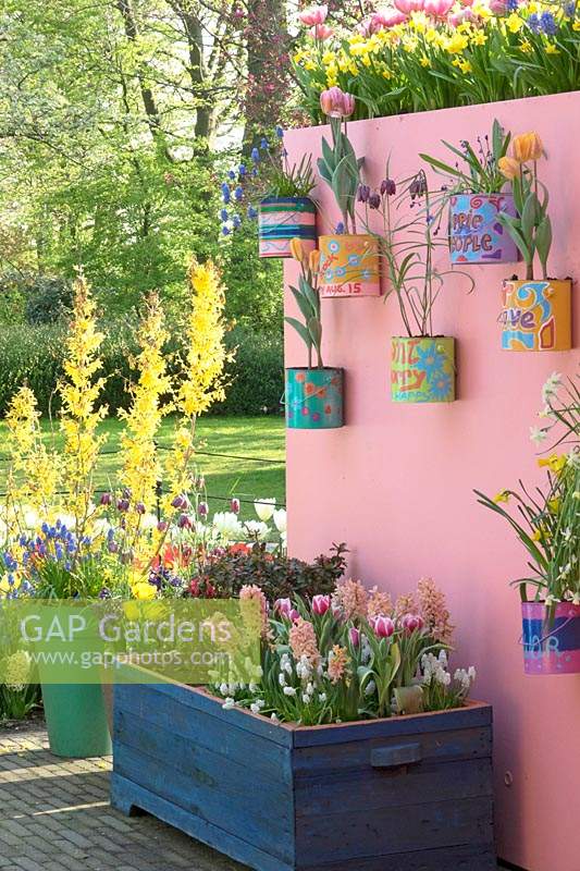 Colourful painted cans displayed on walls, filled with flowering Tulips, Muscari, Narcissus, and Fritillaria.
