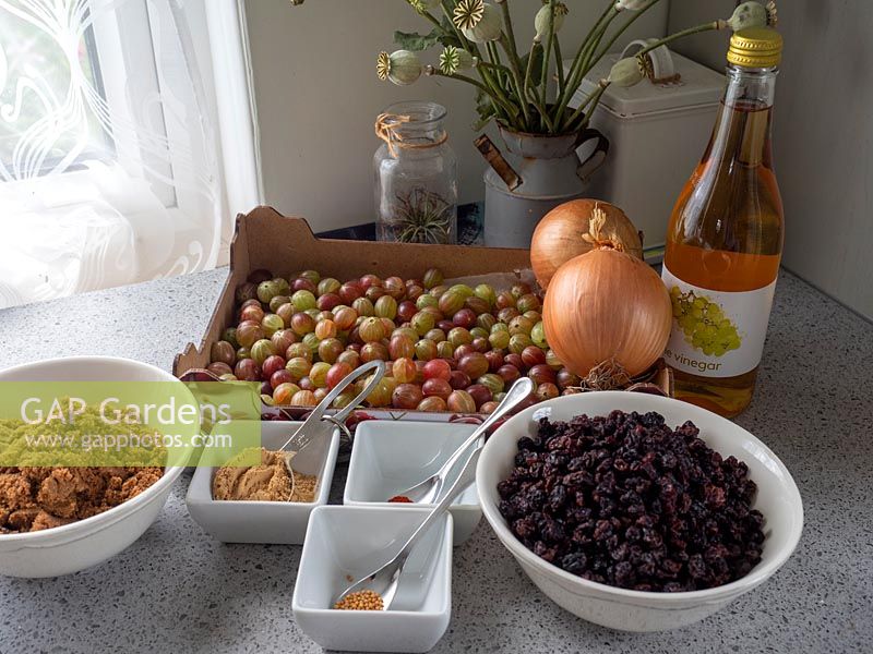 Gooseberry harvest and other ingredients set up to make chutney. 