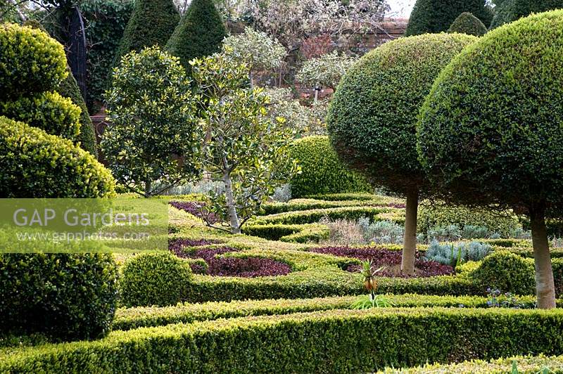 View across Knot garden and topiary forms at Abbey House Gardens, Malmesbury, UK. 