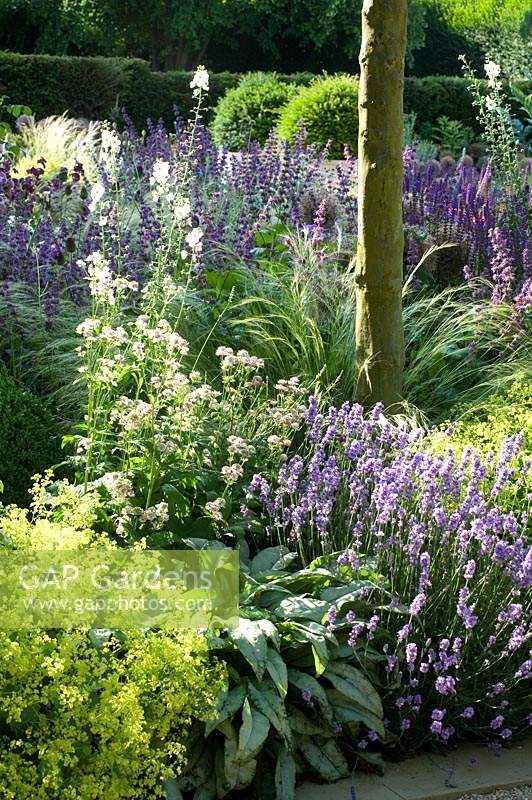 Borders of ornamental grasses and flowering perennials create soft texture, planted under trees.