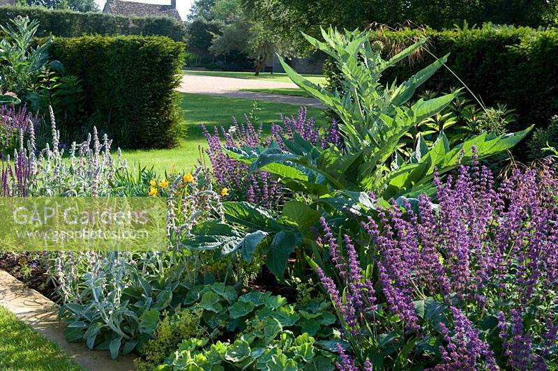 Herbaceous perennial border in flower. 