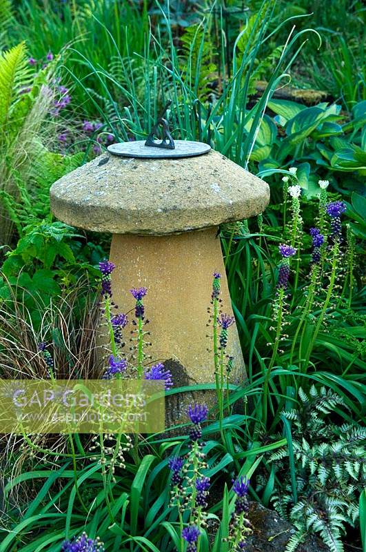 Sundial surrounded by purple flowering perennials, ferns and grasses. 