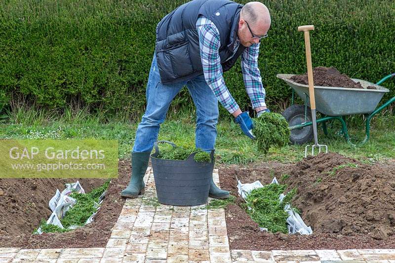 Man adding grass cuttings to the newspaper lined trench. 