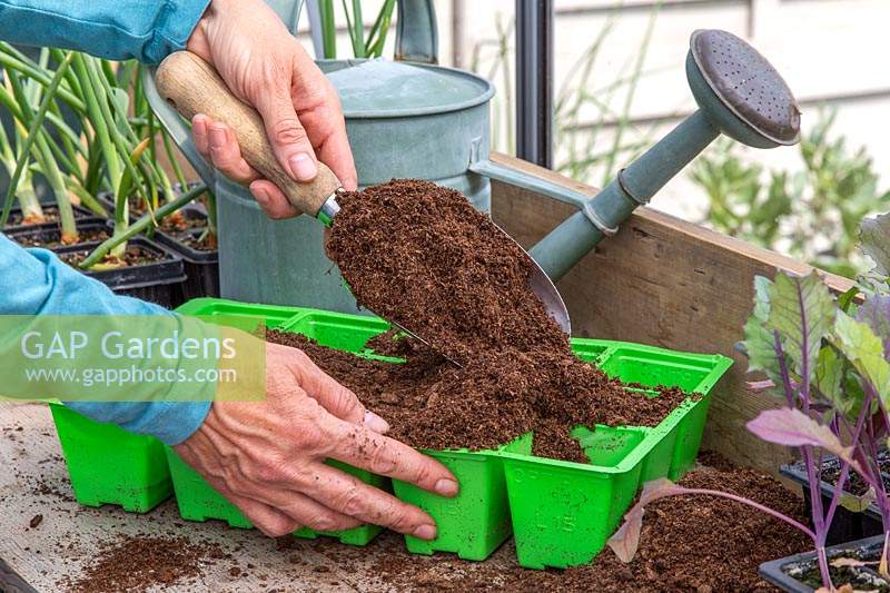 Woman filling seedtray with compost using a scoop. 