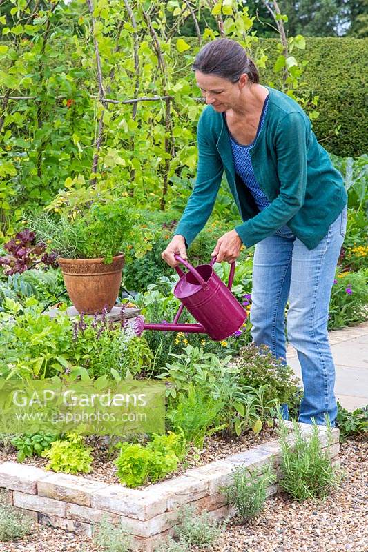 Woman watering the newly planted herbs using a watering can. 