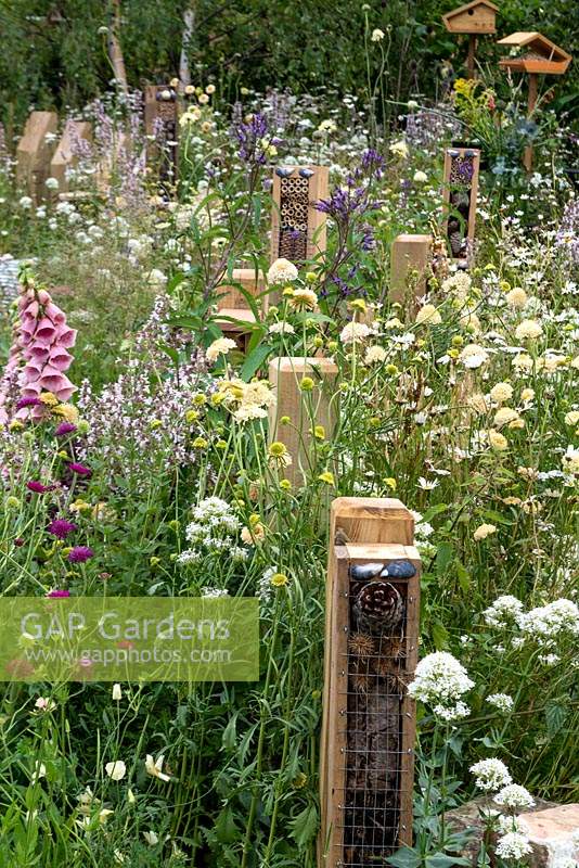 A line of bug hotels surrounded by flowering perennials in BBC Springwatch garden, RHS Feature Garden, RHS Hampton Court Palace Garden Festival, 2019.
