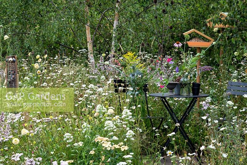 A wild flower meadow in The BBC Springwatch garden, RHS Feature Garden, RHS Hampton Court Palace Garden Festival, 2019.
